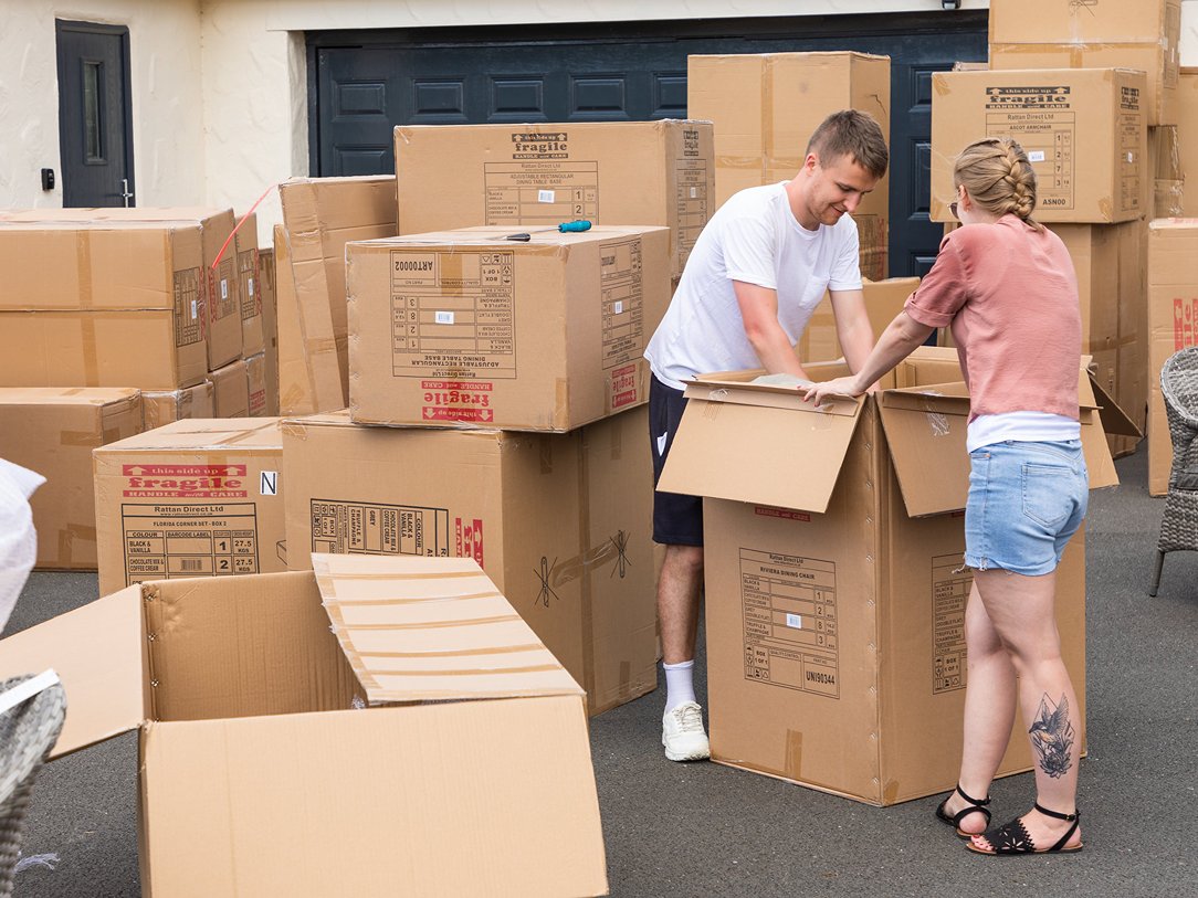 dumbo movers